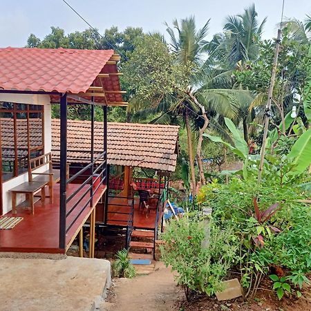 ホテル Shiv Sai Huts カナコナ エクステリア 写真