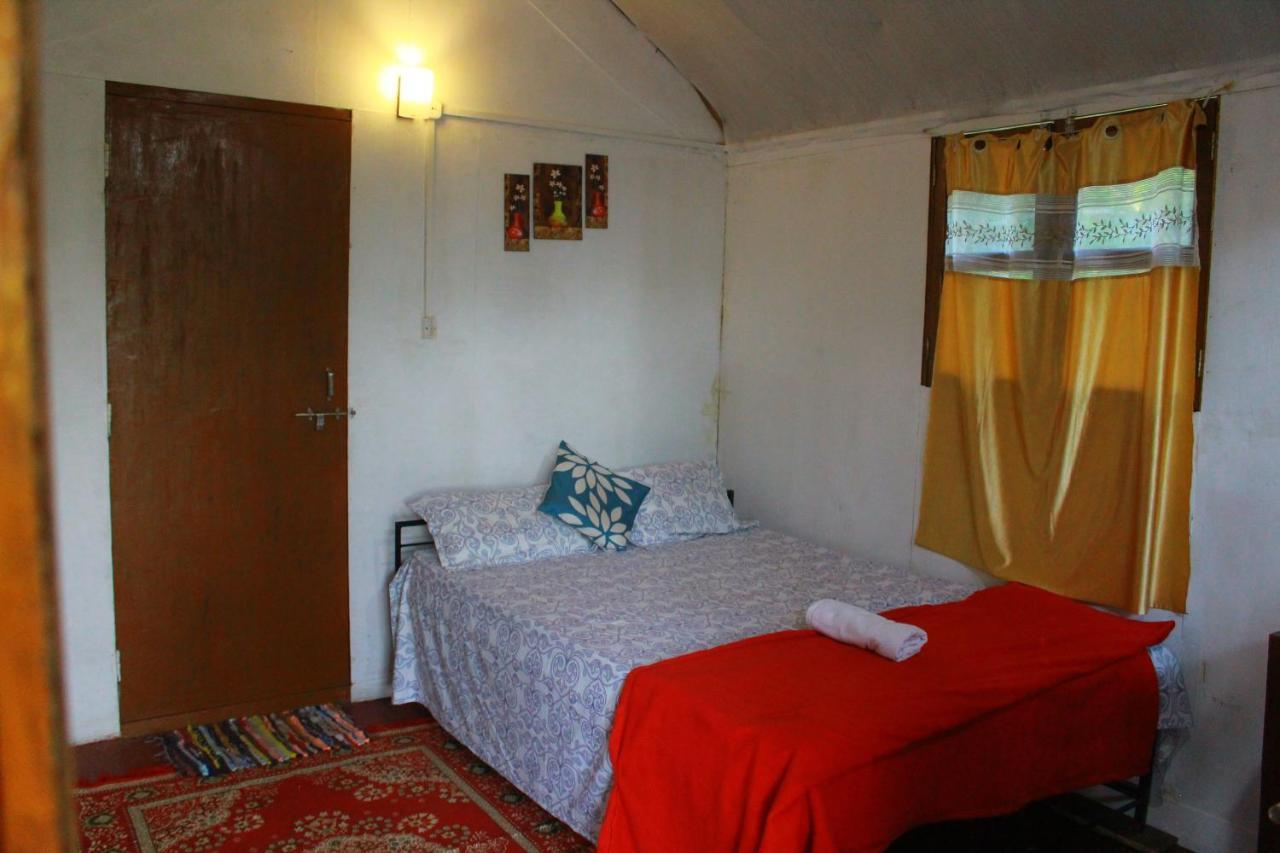 ホテル Shiv Sai Huts カナコナ エクステリア 写真