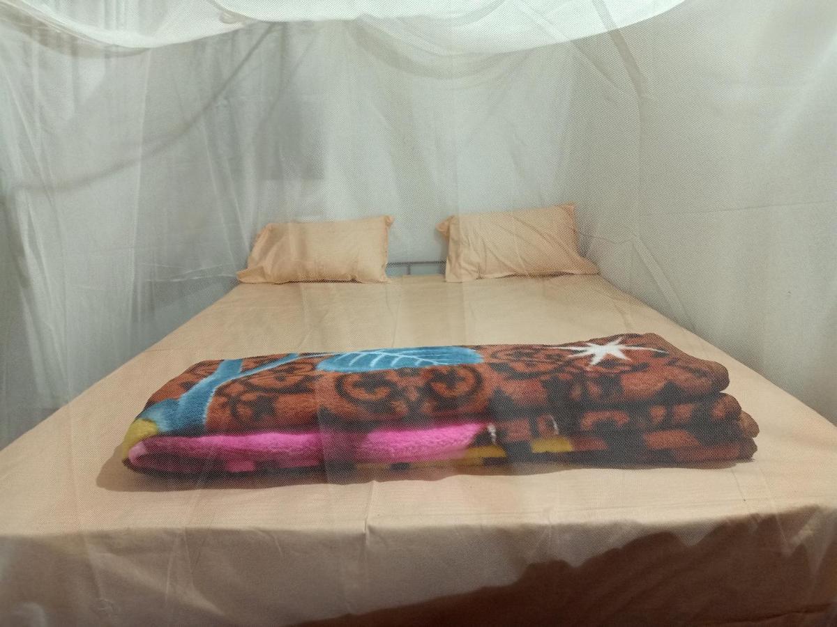 ホテル Shiv Sai Huts カナコナ エクステリア 写真